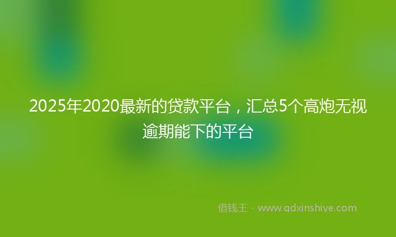 2025年2020最新的贷款平台，汇总5个高炮无视逾期能下的平台