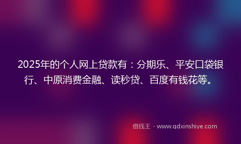 2025年的个人网上贷款有：分期乐、平安口袋银行、中原消费金融、读秒贷、百度有钱花等。