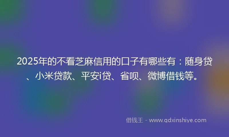 2025年的不看芝麻信用的口子有哪些有：随身贷、小米贷款、平安i贷、省呗、微博借钱等。