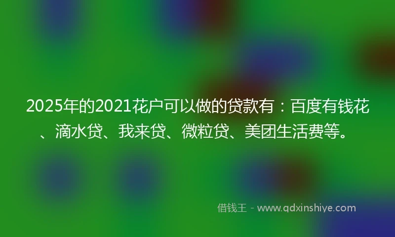 2025年的2021花户可以做的贷款有：百度有钱花、滴水贷、我来贷、微粒贷、美团生活费等。