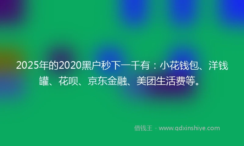 2025年的2020黑户秒下一千有：小花钱包、洋钱罐、花呗、京东金融、美团生活费等。