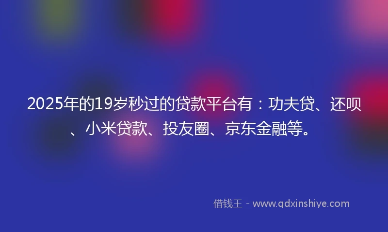 2025年的19岁秒过的贷款平台有：功夫贷、还呗、小米贷款、投友圈、京东金融等。