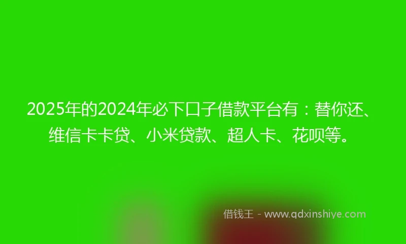 2025年的2024年必下口子借款平台有：替你还、维信卡卡贷、小米贷款、超人卡、花呗等。