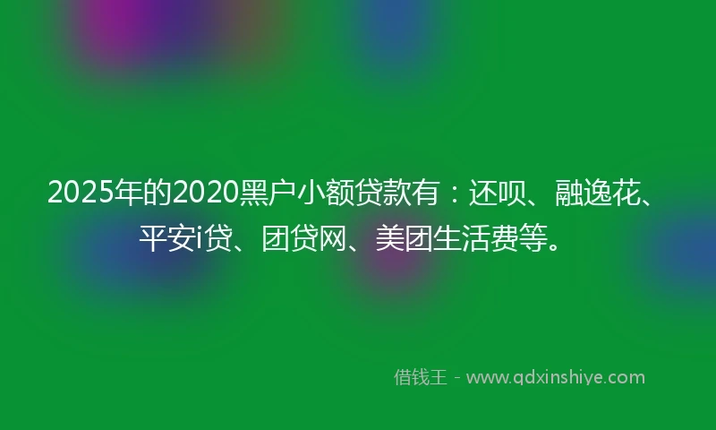 2025年的2020黑户小额贷款有：还呗、融逸花、平安i贷、团贷网、美团生活费等。