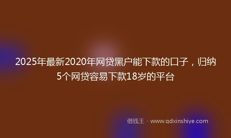 2025年最新2020年网贷黑户能下款的口子，归纳5个网贷容易下款18岁的平台