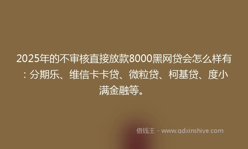 2025年的不审核直接放款8000黑网贷会怎么样有：分期乐、维信卡卡贷、微粒贷、柯基贷、度小满金融等。