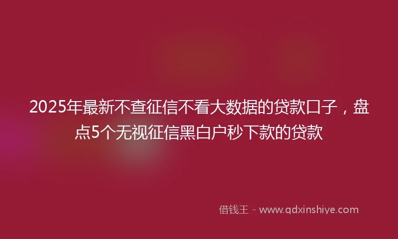 2025年最新不查征信不看大数据的贷款口子，盘点5个无视征信黑白户秒下款的贷款