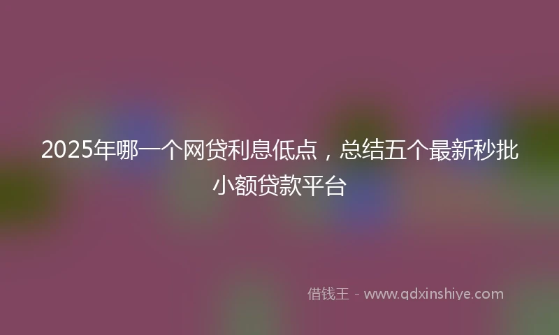 2025年哪一个网贷利息低点，总结五个最新秒批小额贷款平台