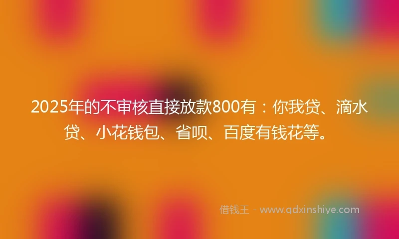 2025年的不审核直接放款800有：你我贷、滴水贷、小花钱包、省呗、百度有钱花等。