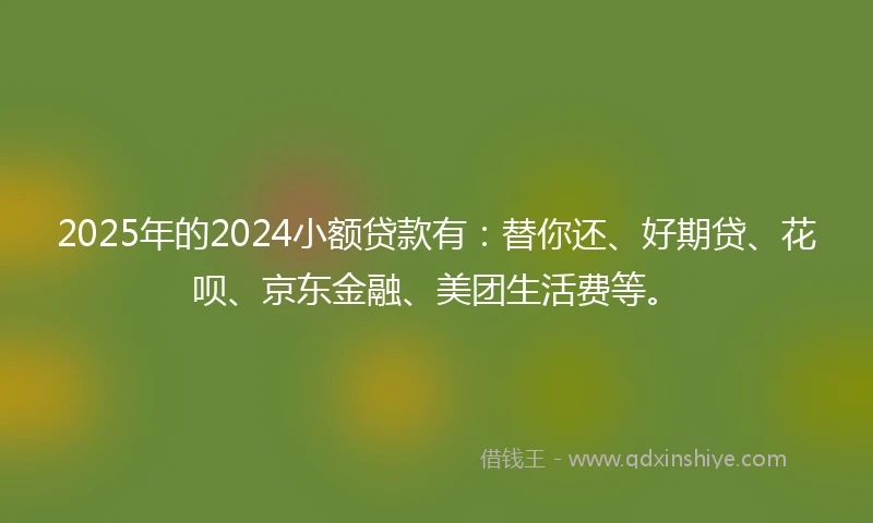 2025年的2024小额贷款有：替你还、好期贷、花呗、京东金融、美团生活费等。