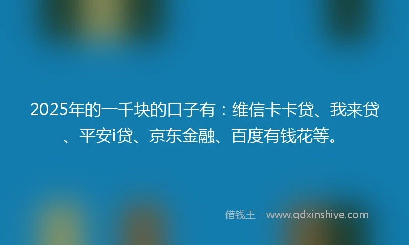 2025年的一千块的口子有：维信卡卡贷、我来贷、平安i贷、京东金融、百度有钱花等。