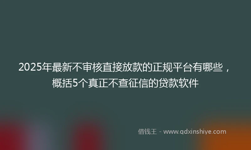 2025年最新不审核直接放款的正规平台有哪些，概括5个真正不查征信的贷款软件