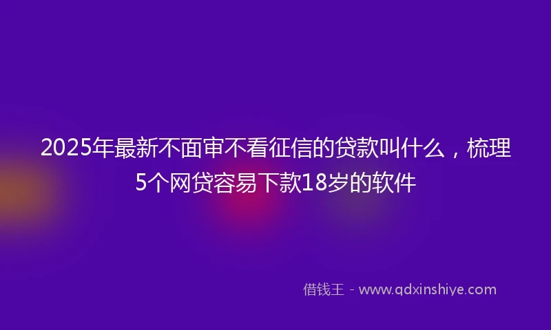 2025年最新不面审不看征信的贷款叫什么，梳理5个网贷容易下款18岁的软件