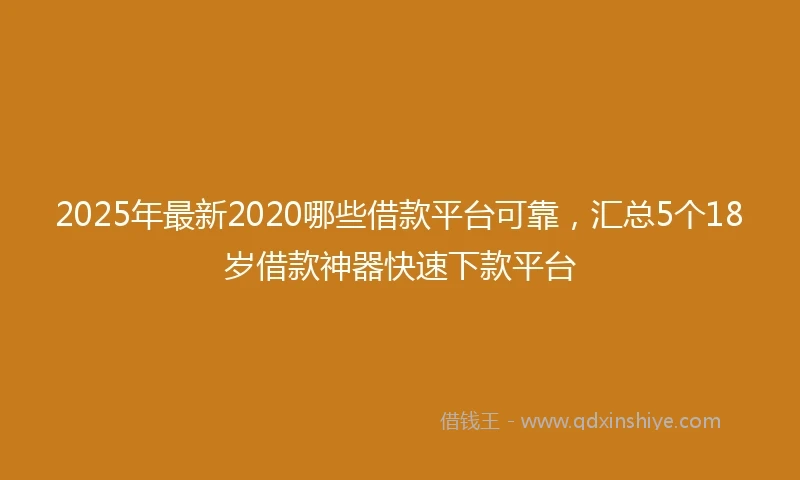 2025年最新2020哪些借款平台可靠，汇总5个18岁借款神器快速下款平台