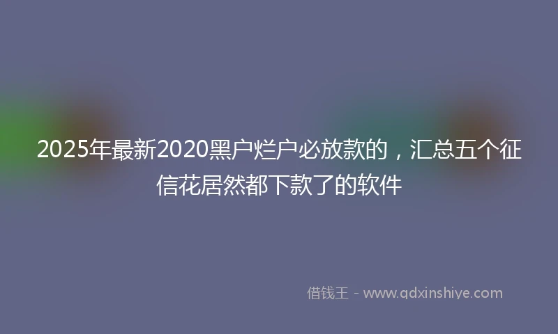 2025年最新2020黑户烂户必放款的，汇总五个征信花居然都下款了的软件