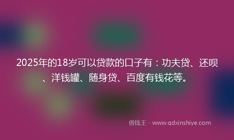 2025年的18岁可以贷款的口子有：功夫贷、还呗、洋钱罐、随身贷、百度有钱花等。