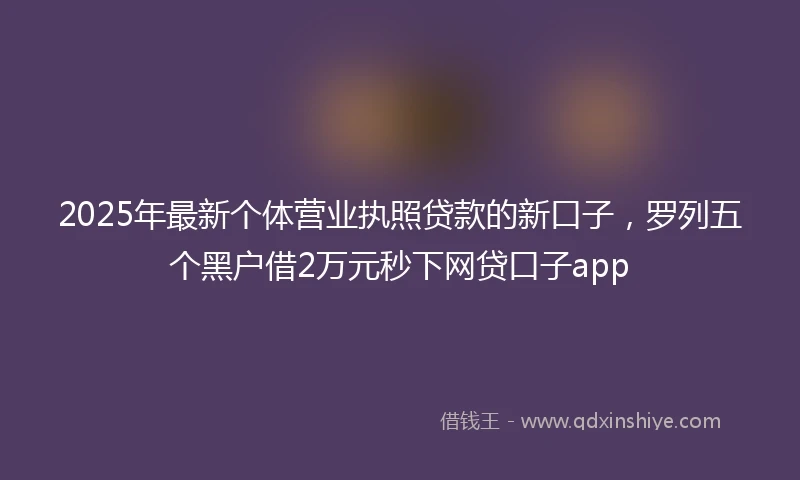 2025年最新个体营业执照贷款的新口子，罗列五个黑户借2万元秒下网贷口子app