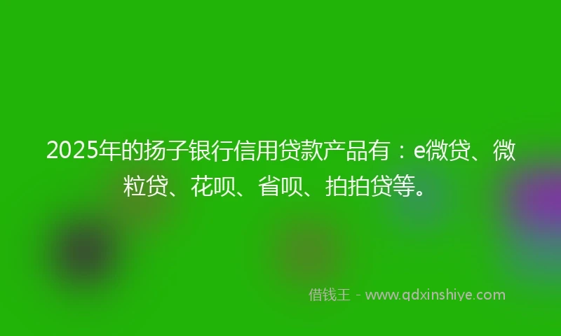 2025年的扬子银行信用贷款产品有：e微贷、微粒贷、花呗、省呗、拍拍贷等。