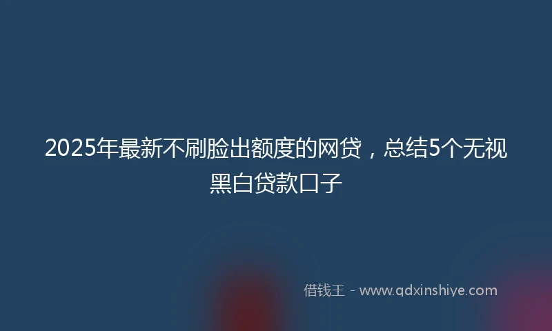 2025年最新不刷脸出额度的网贷，总结5个无视黑白贷款口子