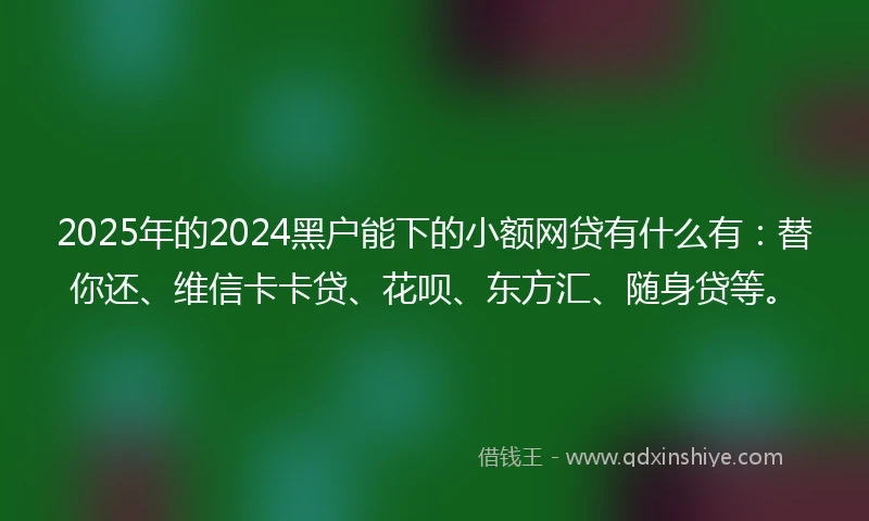 2025年的2024黑户能下的小额网贷有什么有：替你还、维信卡卡贷、花呗、东方汇、随身贷等。