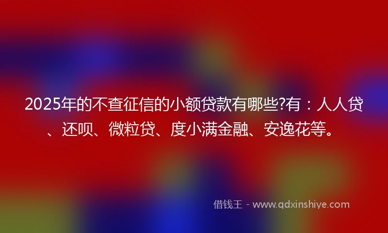 2025年的不查征信的小额贷款有哪些?有：人人贷、还呗、微粒贷、度小满金融、安逸花等。