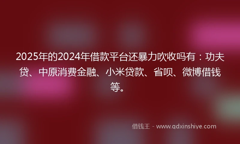 2025年的2024年借款平台还暴力吹收吗有：功夫贷、中原消费金融、小米贷款、省呗、微博借钱等。