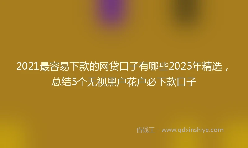 2021最容易下款的网贷口子有哪些2025年精选，总结5个无视黑户花户必下款口子