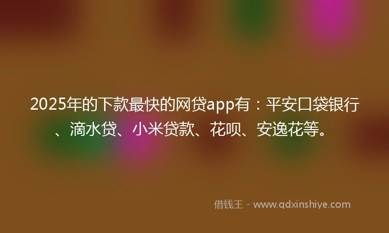 2025年的下款最快的网贷app有：平安口袋银行、滴水贷、小米贷款、花呗、安逸花等。