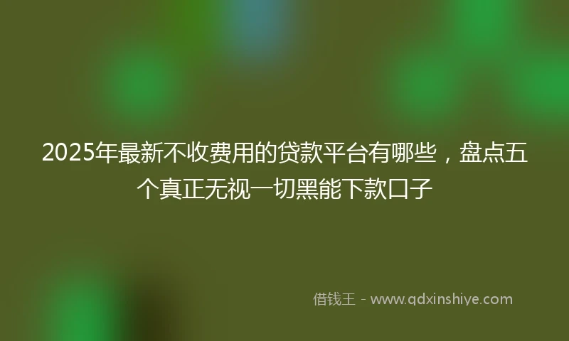 2025年最新不收费用的贷款平台有哪些，盘点五个真正无视一切黑能下款口子