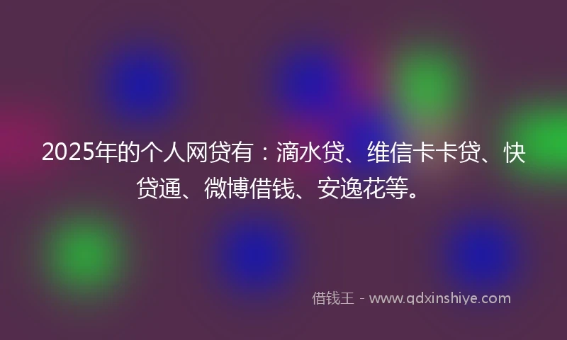 2025年的个人网贷有：滴水贷、维信卡卡贷、快贷通、微博借钱、安逸花等。
