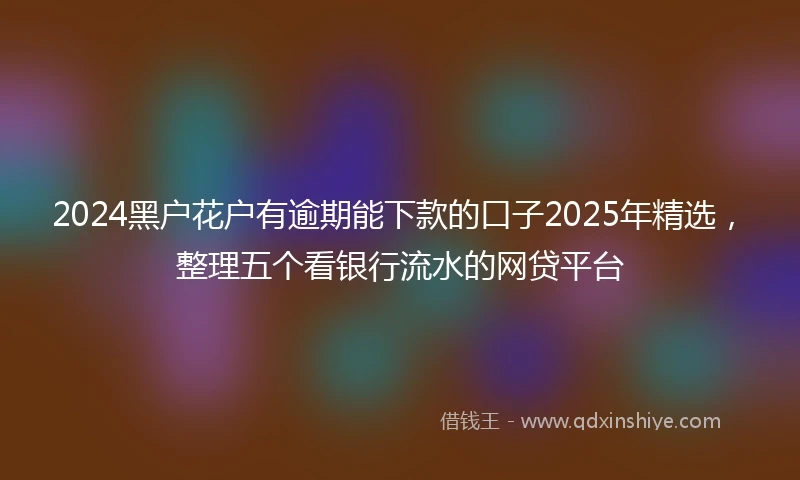 2024黑户花户有逾期能下款的口子2025年精选，整理五个看银行流水的网贷平台