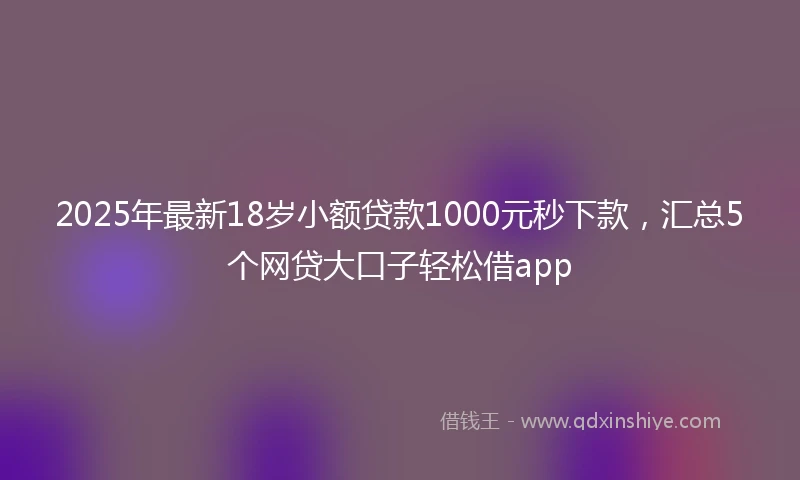 2025年最新18岁小额贷款1000元秒下款，汇总5个网贷大口子轻松借app