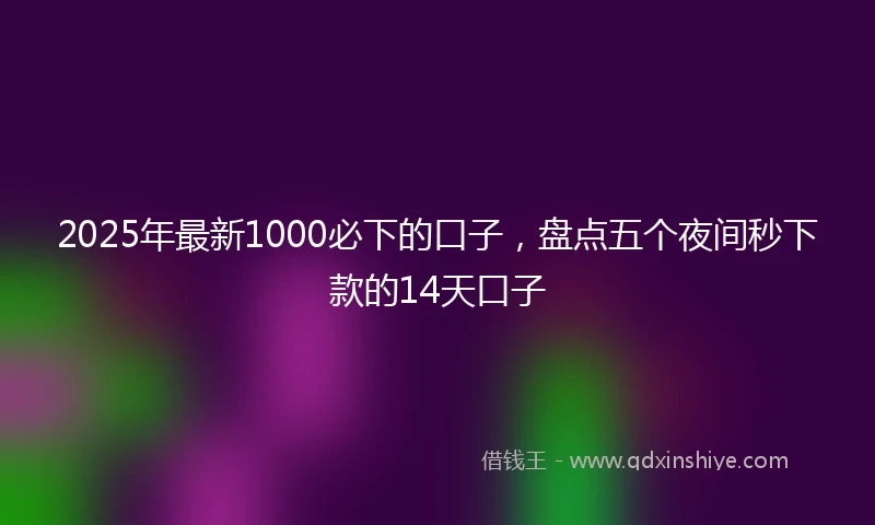 2025年最新1000必下的口子，盘点五个夜间秒下款的14天口子