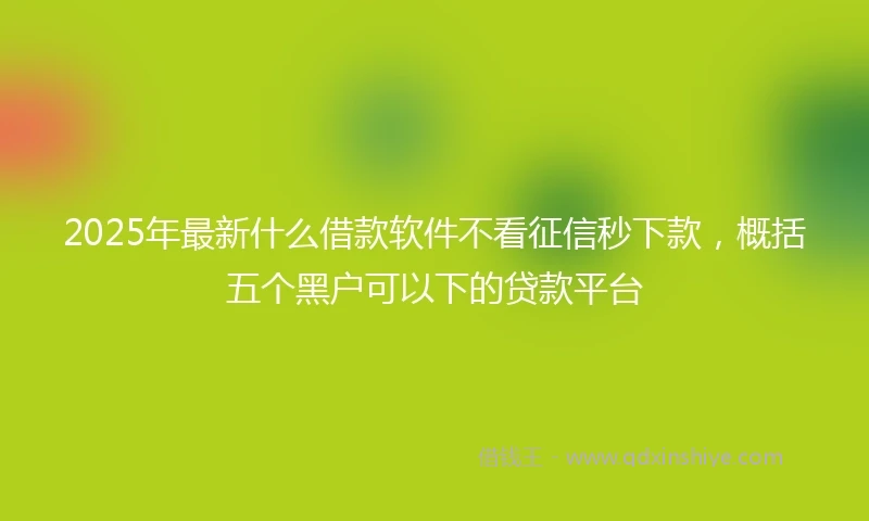 2025年最新什么借款软件不看征信秒下款，概括五个黑户可以下的贷款平台