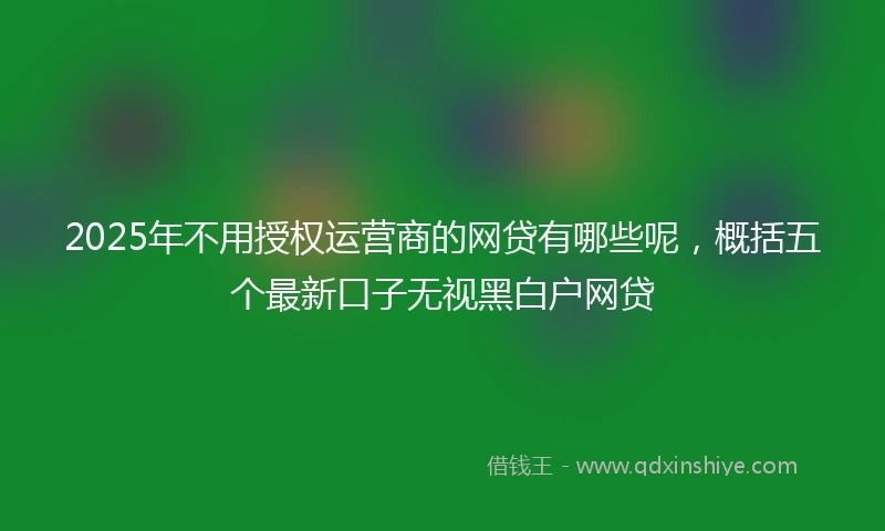 2025年不用授权运营商的网贷有哪些呢，概括五个最新口子无视黑白户网贷