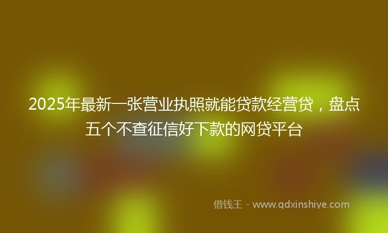 2025年最新一张营业执照就能贷款经营贷，盘点五个不查征信好下款的网贷平台