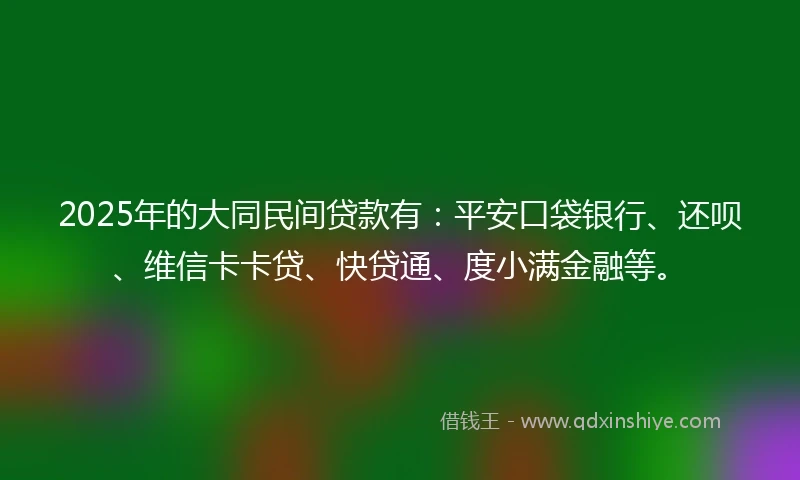 2025年的大同民间贷款有：平安口袋银行、还呗、维信卡卡贷、快贷通、度小满金融等。