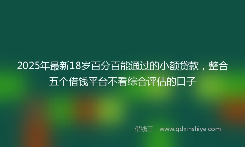 2025年最新18岁百分百能通过的小额贷款，整合五个借钱平台不看综合评估的口子