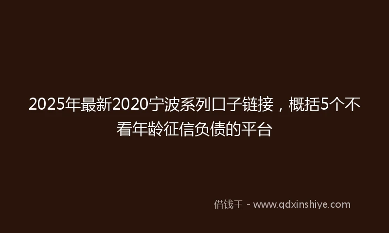 2025年最新2020宁波系列口子链接，概括5个不看年龄征信负债的平台