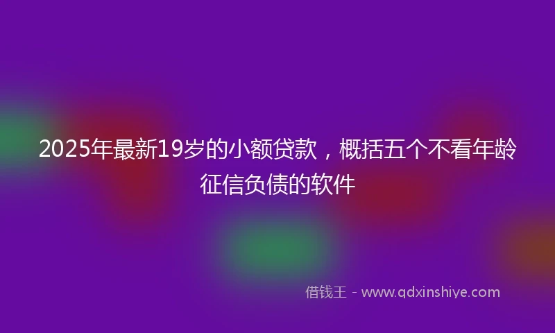 2025年最新19岁的小额贷款，概括五个不看年龄征信负债的软件