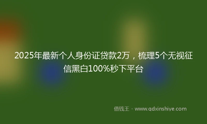 2025年最新个人身份证贷款2万，梳理5个无视征信黑白100%秒下平台