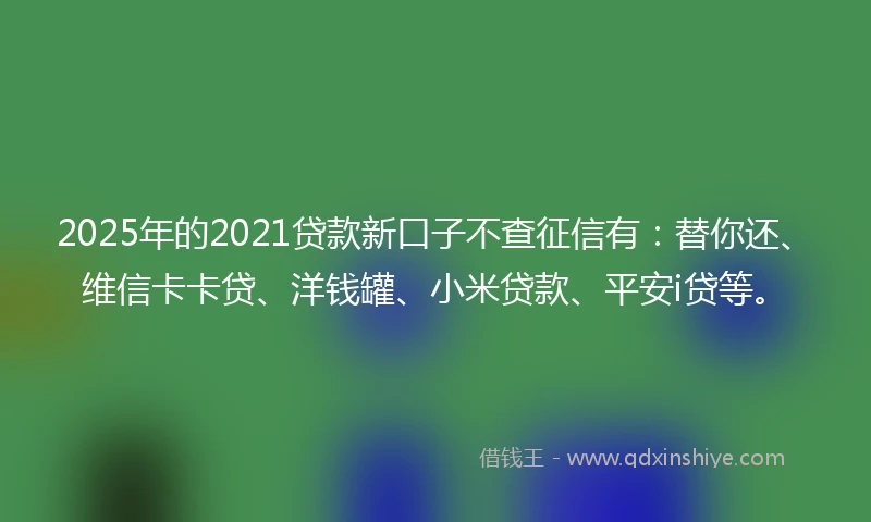 2025年的2021贷款新口子不查征信有：替你还、维信卡卡贷、洋钱罐、小米贷款、平安i贷等。