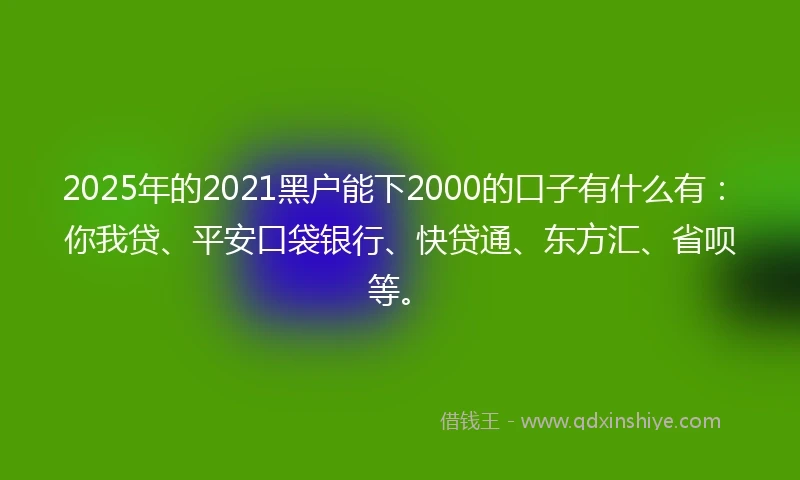 2025年的2021黑户能下2000的口子有什么有：你我贷、平安口袋银行、快贷通、东方汇、省呗等。