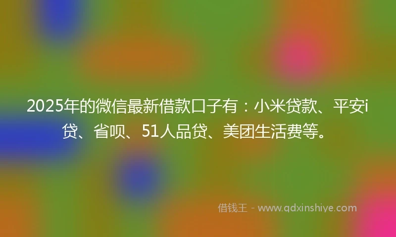 2025年的微信最新借款口子有：小米贷款、平安i贷、省呗、51人品贷、美团生活费等。