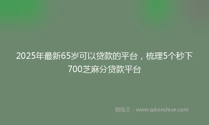 2025年最新65岁可以贷款的平台，梳理5个秒下700芝麻分贷款平台