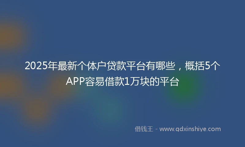 2025年最新个体户贷款平台有哪些，概括5个APP容易借款1万块的平台