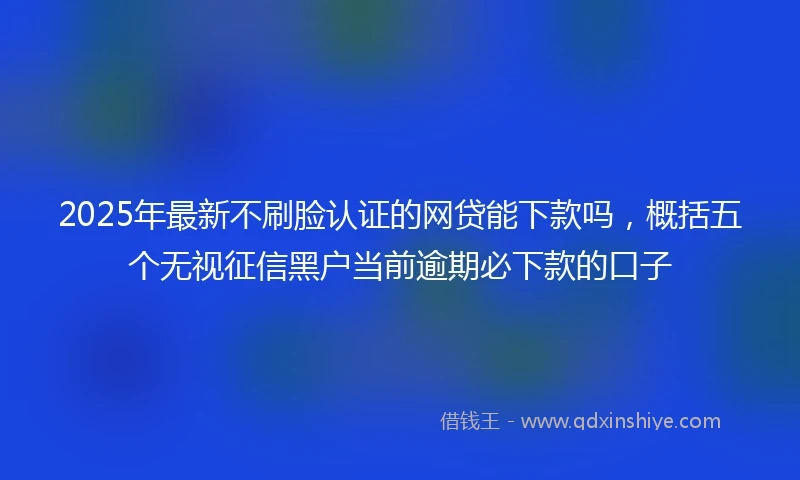2025年最新不刷脸认证的网贷能下款吗，概括五个无视征信黑户当前逾期必下款的口子