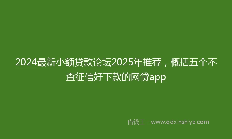 2024最新小额贷款论坛2025年推荐，概括五个不查征信好下款的网贷app