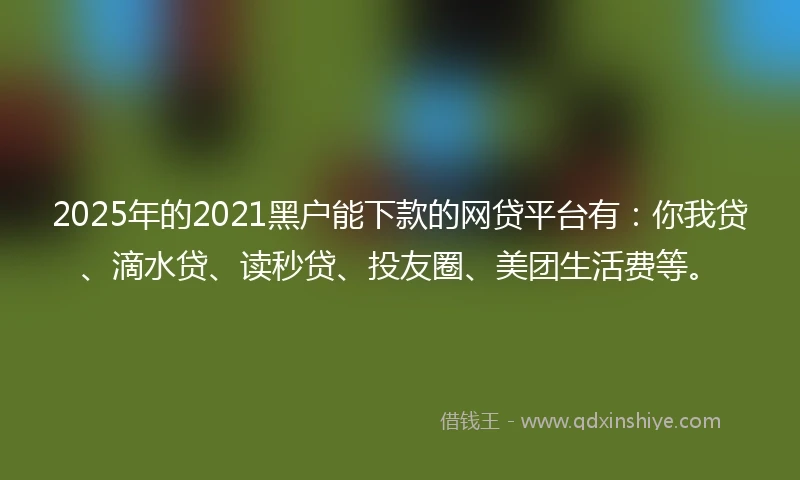 2025年的2021黑户能下款的网贷平台有：你我贷、滴水贷、读秒贷、投友圈、美团生活费等。
