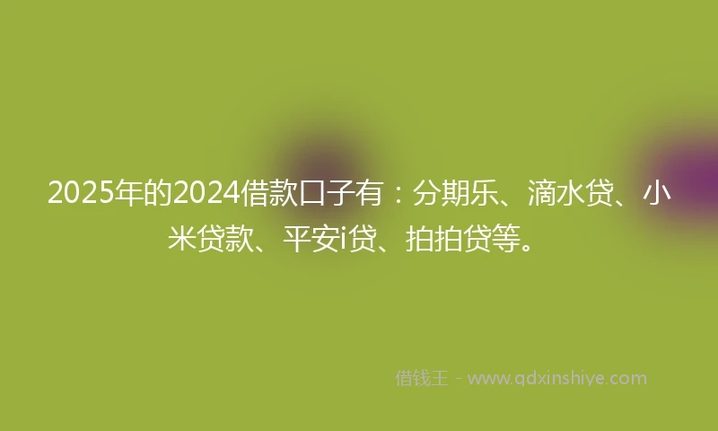 2025年的2024借款口子有：分期乐、滴水贷、小米贷款、平安i贷、拍拍贷等。